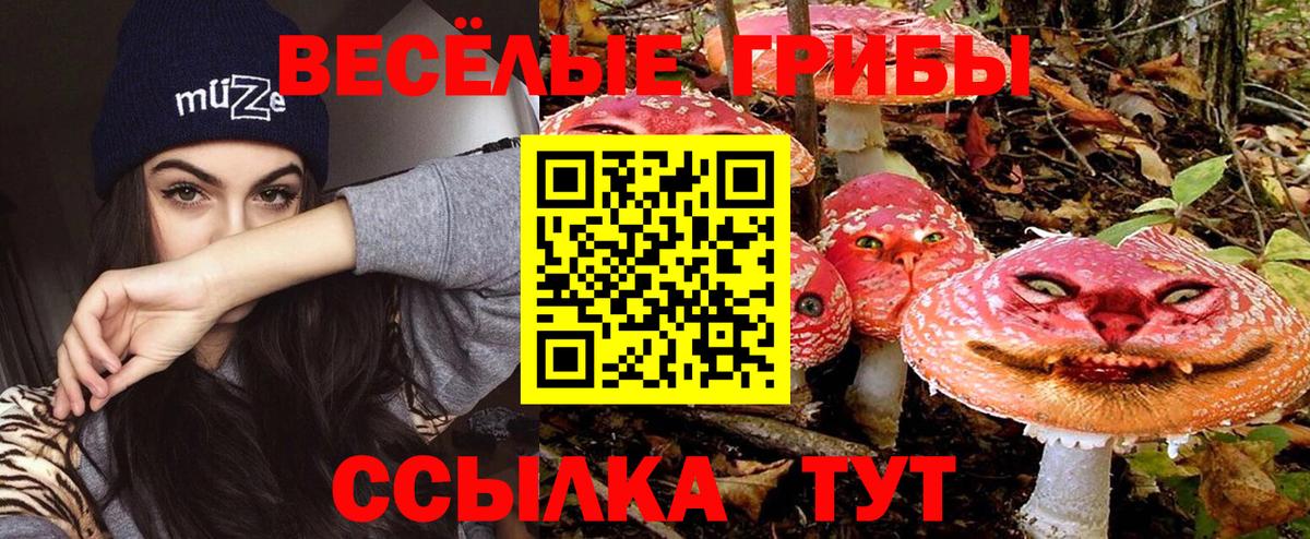 Галлюциногенные грибы мицелий Углич
