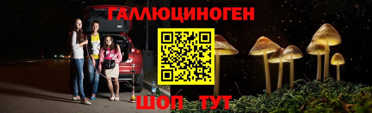 Углич  Галлюциногенные грибы Psilocybine cubensis  Галлюциногенные грибы GOLDEN TEACHER  Вход с VPN 