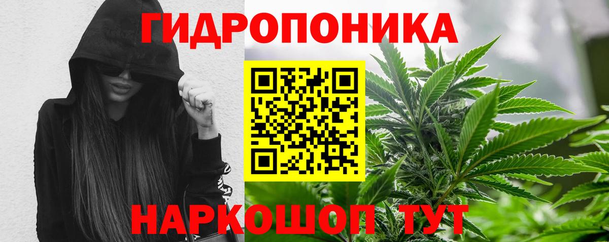 МАРИХУАНА White Widow  Шишки марихуана план  Вход с VPN  Углич 